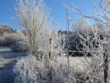 2022-12-15 - Bierberg (13)